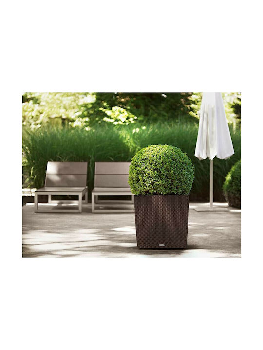 Lechuza Cube Cottage 50 Flower Pot Self-Watering 49x49.5cm in Brown Color 15395