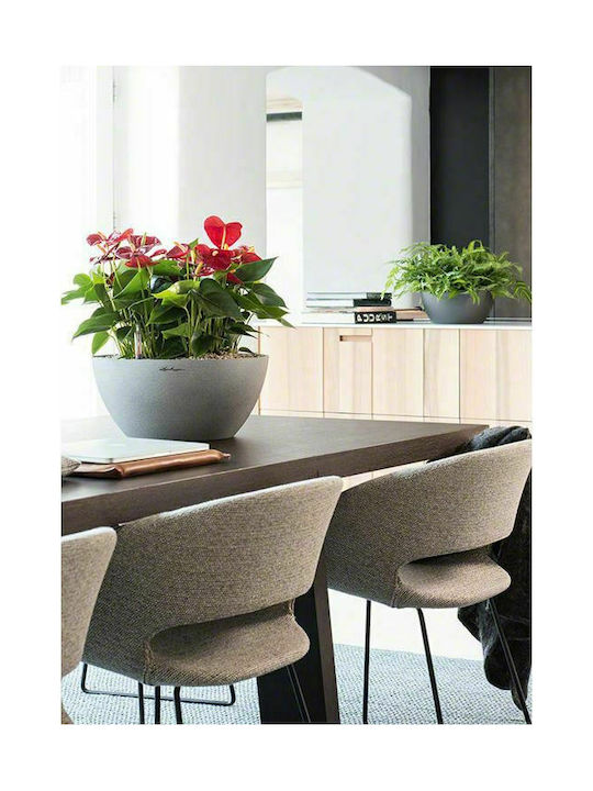 Lechuza Cubeto Stone Self-watering Pot Round Pot Plastic Black 40x40x18.3cm.