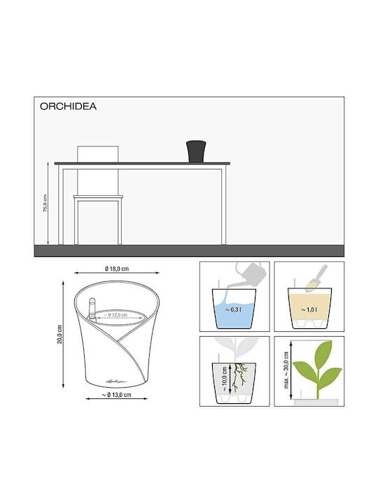 Lechuza Orchidea Self-watering Pot Plastic 18x18x20cm.