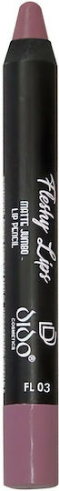 Dido Cosmetics Fleshy Lips Matte Jumbo Lip Pencil Pencil Κραγιόν Matte No 03 2gr