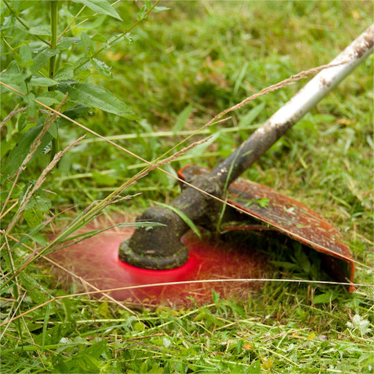 Oregon Blade / Disc for Brush Cutter 300mm 000086
