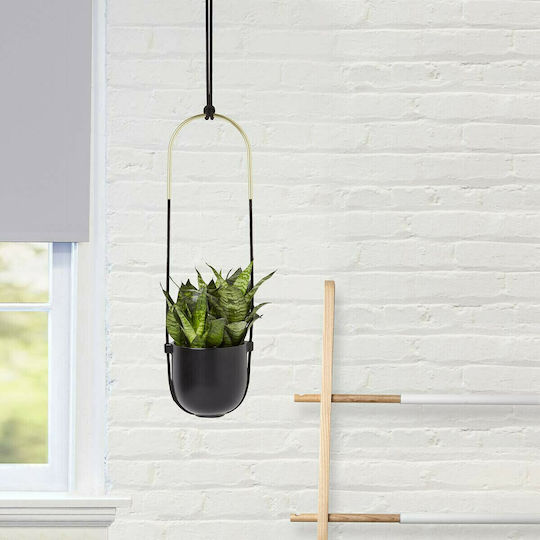 Umbra Bolo Висящи Саксия Керамика Черен 15.9x15.9x62.2εκ. Висулка
