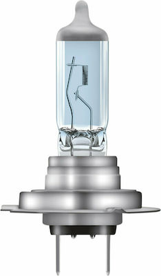 Osram Lampen Auto Cool Blue Intense H7 Halogen 4200K Naturweiß 12V 55W 2Stück