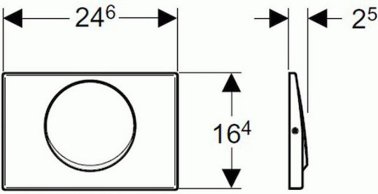 Geberit Delta 15 Flush Plate for Single Flush Toilet Inox