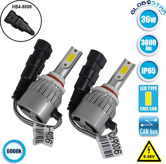 GloboStar Lamps Car C6 Economy Line HB4-9006 LED 6000K Cold White 9-36V 36W 2pcs