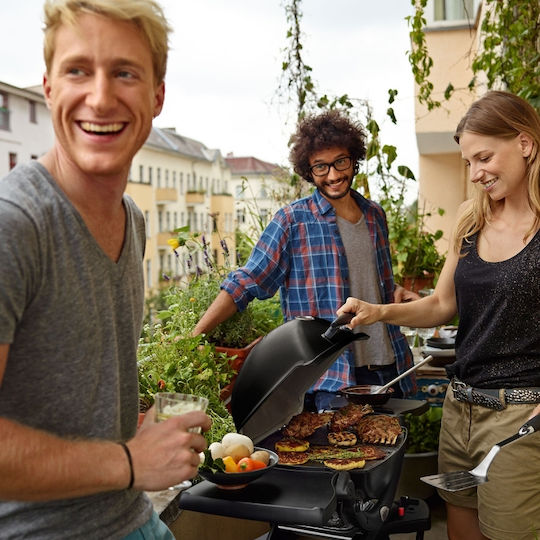 Weber Q1200 Φορητή Ψησταριά Υγραερίου Μαντεμένιας Σχάρας 43x32εκ. με 1 Εστία 2.49kW
