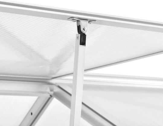 vidaXL 45215 Gewächshaus Typ Haus mit Aluminiumrahmen 32x1.9x1.95m