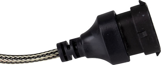 GloboStar Lampen Auto C6 Line H9 Canbus LED 6000K Kaltes Weiß 8-48V 72W 2Stück