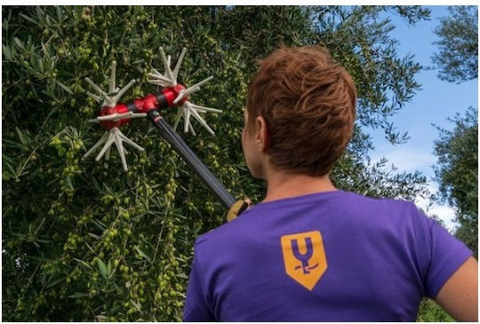Yamastik Νιφάδα X12 Ελαιοραβδιστικό Τύπου Αχινός με Σταθερό Κοντάρι 2.5m και Βάρος 3.2kg