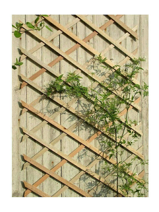 Klappbares Spalier Garten aus Holz mit Rhombus-Rasterdesign in Beige Farbe 200x150cm
