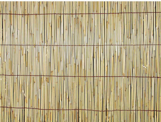 Dom Wood Premium Каламоти с Целият Рийд 1x5m