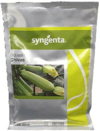 Syngenta Samen Kürbisς Zucchini 1000Stück