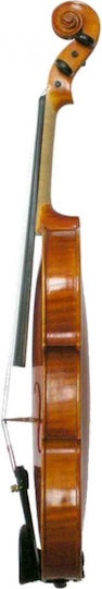 B.Muller Germany 1/4 Vioară