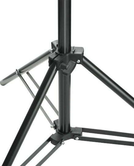 vidaXL Support System & Photographic Background Photography Backdrop Paper 300x500cm Green