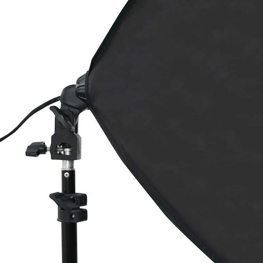 vidaXL Lighting Kit with Tripod
