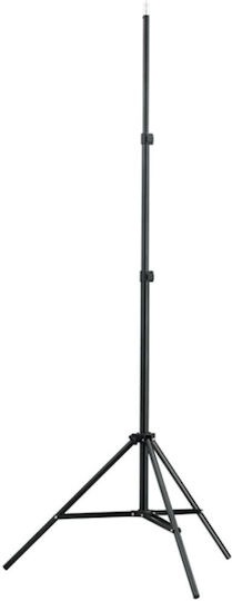 vidaXL Lighting Kit with Lights and Background Umbrella for Studio