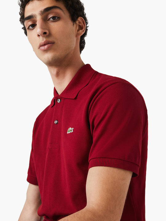 Polo T-shirt Burgundy