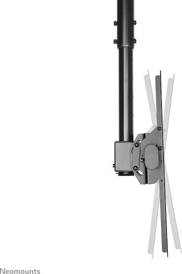 Newstar NM-C440BLACK Suport TV De Tavan Cu Braț De Extensie Până La 60" Și 50kg