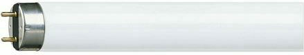 Philips Лампа Луминесцентна за Цокъл G13 с Форма T8 36W