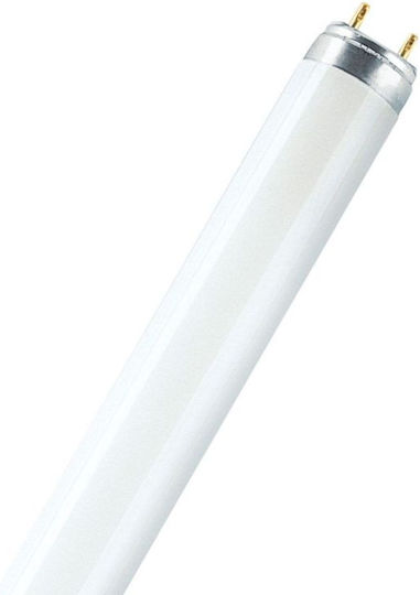 Ledvance Lumilux Fluorescent Lamp for Socket G13 with Shape T8 18W