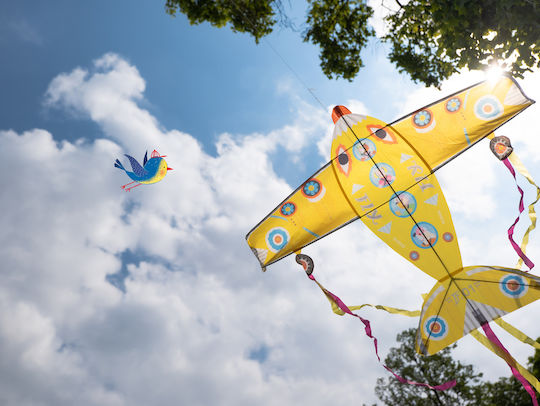 Djeco Kite Airplane Fabric with Tail 89x20cm 1pcs