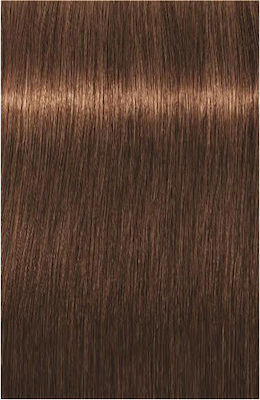 Schwarzkopf Igora Royal Absolutes Age Blend Hair Dye 6-460 Blonde Dark Beige Maron 60ml