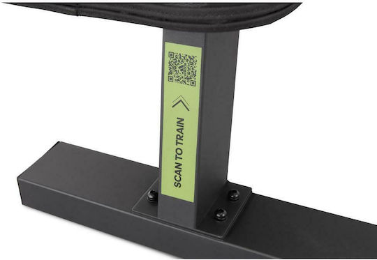 adidas Performance Horizontal Workout Bench
