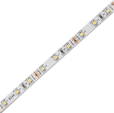 Geyer Bandă LED Alimentare 12V cu Lumină Alb Natural Lungime 5m și 60 LED-uri pe Metru SMD2835