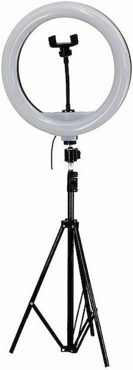 Ringlicht LED USB Stativ Ringlicht 33cm 2700 - 5500K mit Bodenstativ und Handyhalter