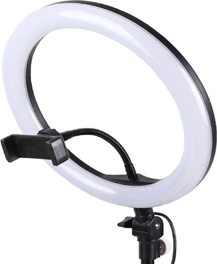 Andowl Mega Led Ring Light RGB Ring Light 26cm 3200 - 5600K with Floor Tripod and Mobile Phone Holder