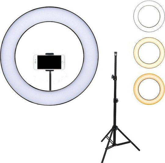 Andowl Ring Light 25cm 2500 - 4500K with Floor Tripod and Mobile Phone Holder