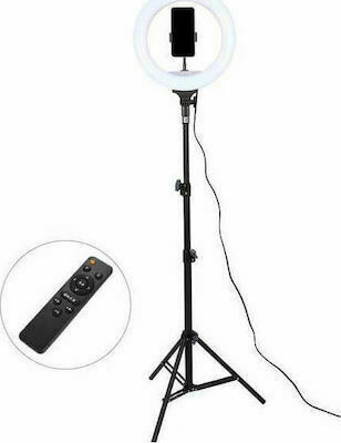 Ring Lamp Light LED USB Ring Light 33cm 3000 - 6000K with Floor Tripod and Mobile Phone Holder