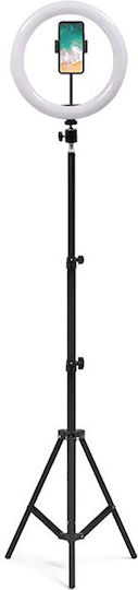 Ringlicht LED USB Tripod 1,6m Ringlicht 26cm 2500 - 4500K mit Bodenstativ und Handyhalter
