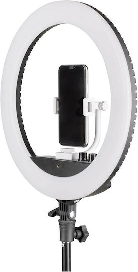 Ring Ring Light Nanlite Halo 16 Portrait Ring Light 40cm 3200-5600K with Mobile Phone Holder