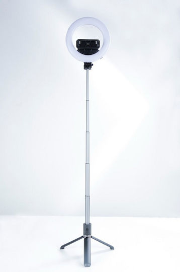XO XO-L08 SJ26 Ring Light 25cm with Desktop Tripod and Mobile Phone Holder