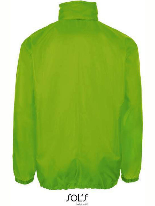 Winter Jacket Waterproof and Windproof Green