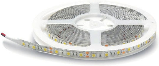 Geyer Wasserdicht LED-Streifen 12V Natürliches Weiß Licht 5m