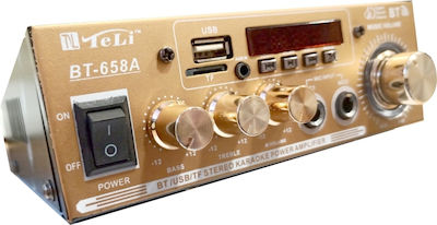 Amplificator Karaoke BT-658A în Culoare Aur