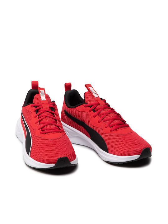 Incinerate Sport Shoes Training Red
