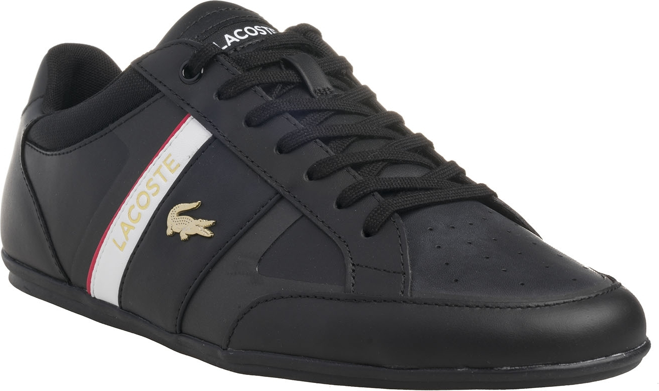 Lacoste Chaymon 0221 1 QSP CMA Men's Sneakers in Navy / Purple 7-42CMA -  modanet.com