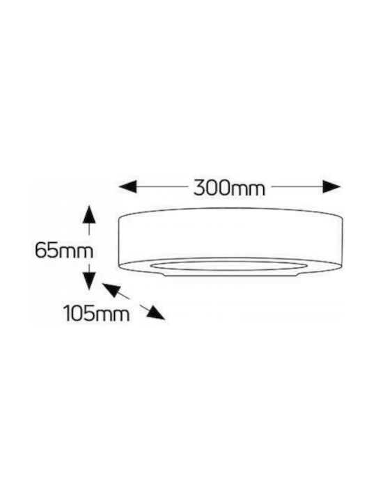 Geyer Modern Leuchte Wand mit Fassung E14 Weiß 30x6.5x65cm