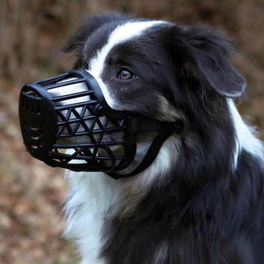 Trixie Plastik Hundemaulkörbe Schwarz 31cm