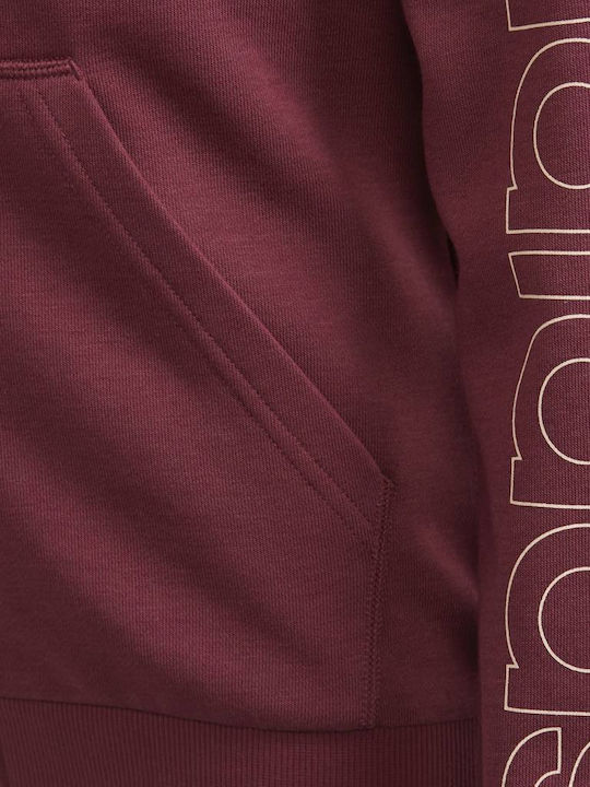 Athletic Kids Sweatshirt Cardigan Cotton with Hood Burgundy Essentials