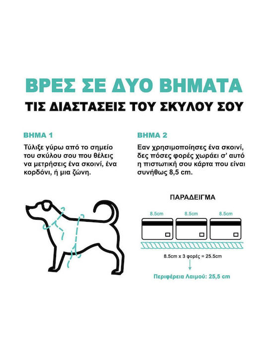 Zee-Dog Σαμαράκι Σκύλου Fly Harness Size 2 Μωβ 42 - 65cm