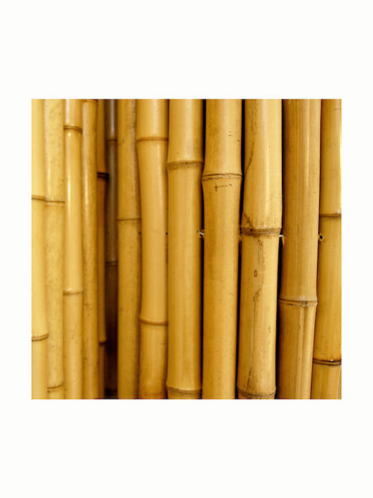 Showood Bamboo Fencing Bamboo with Whole Wood 1.5x2.5m