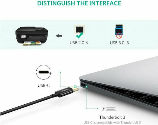Ugreen US241 USB 2.0 Cable USB-C male - mini USB-B Μαύρο 2m 50446