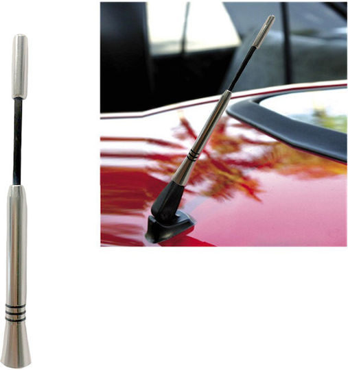 Auto Gs Antenă Auto Plafon Sport 16cm Înșurubat pentru Radio în Culoare Argintiu