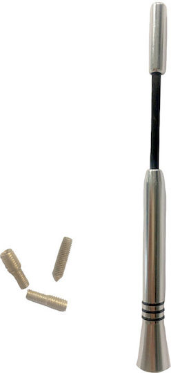 Auto Gs Antenă Auto Plafon Sport 16cm Înșurubat pentru Radio în Culoare Argintiu