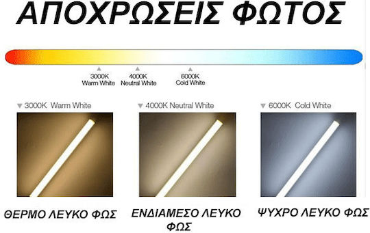 Diolamp LED Bulb 15W 118mm for Socket E27 and Shape A60 Natural White 1350lm