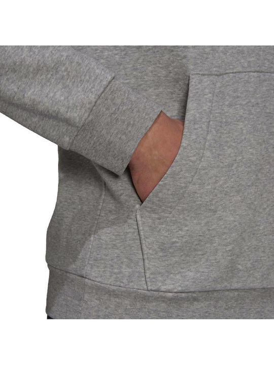 Essentials Sweatshirt with Hood Gray